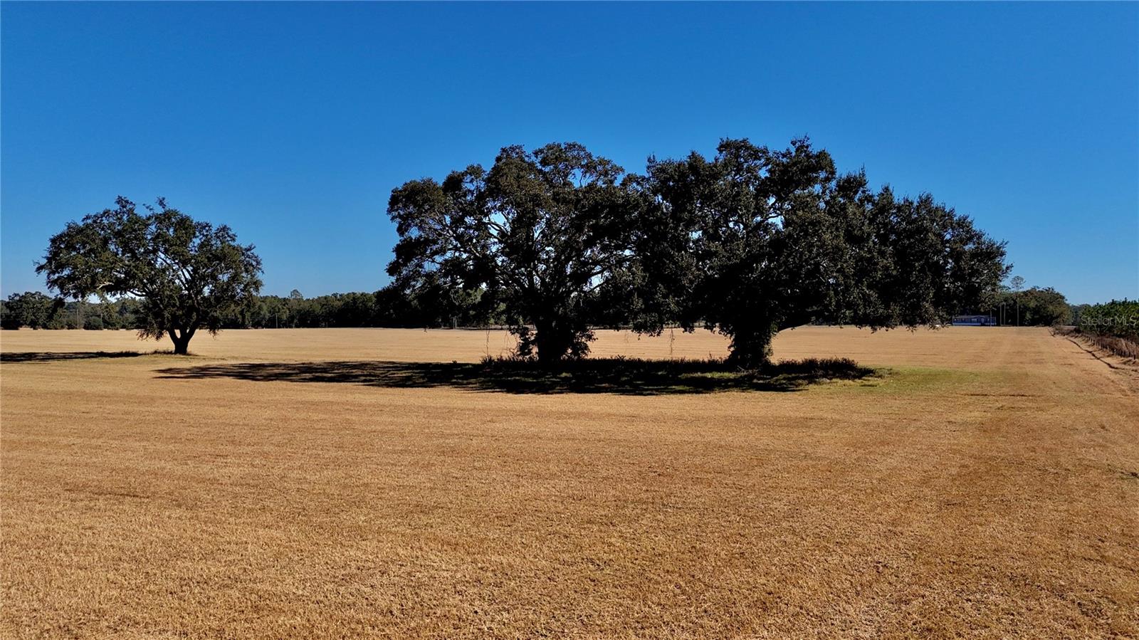 Image 7 of 36 For 00 121st Rd  