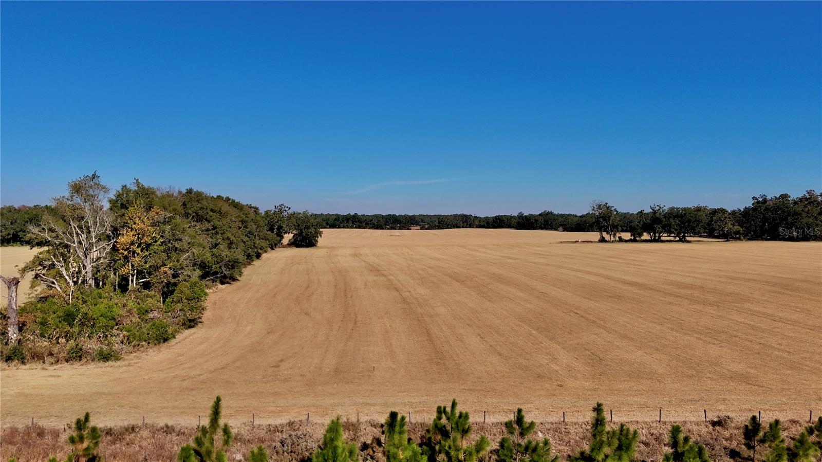 Image 9 of 36 For 00 121st Rd  