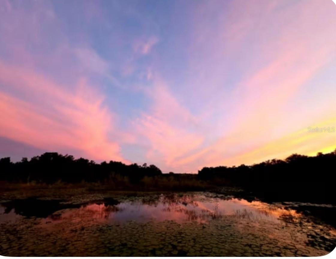 Image 60 of 61 For 15120 240th Court