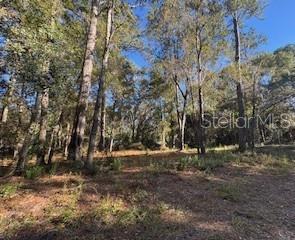 Image 4 of 7 For Tbd 135 Avenue