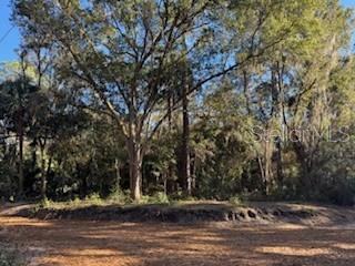 Details for Tbd 135 Avenue, FORT MC COY, FL 32134