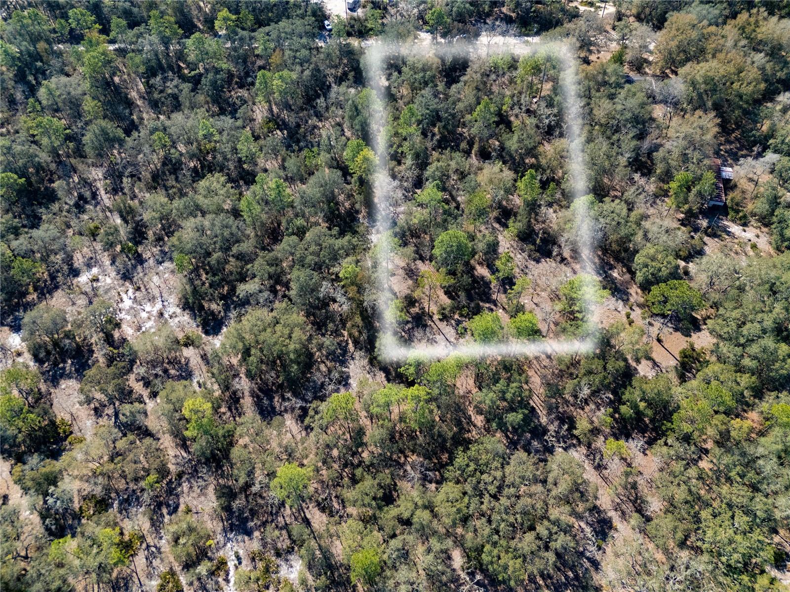 Image 3 of 10 For Tbd 87th Place