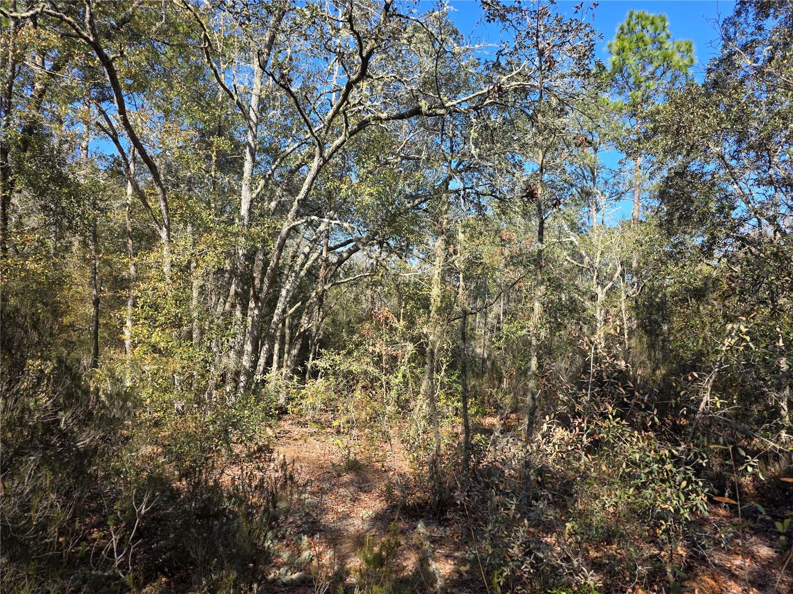 Image 6 of 10 For Tbd 87th Place