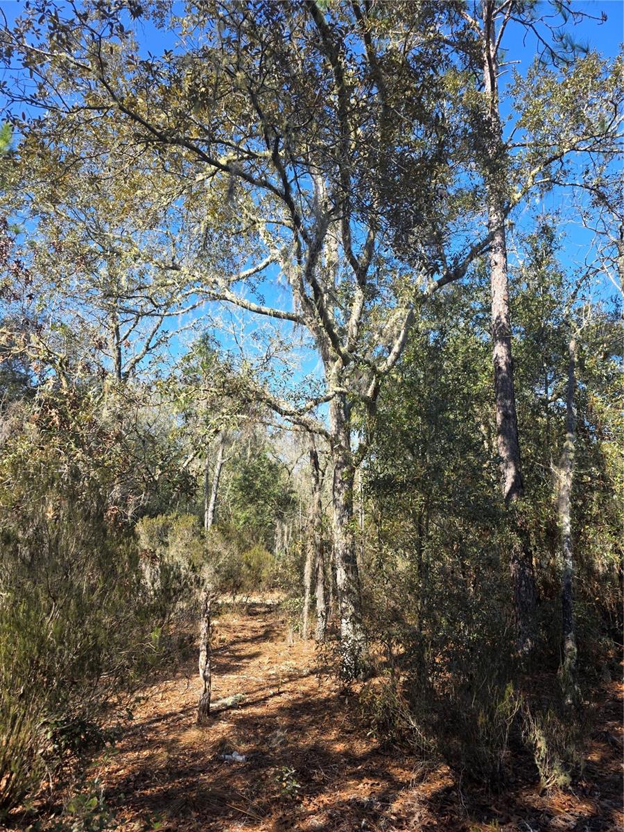 Image 7 of 10 For Tbd 87th Place