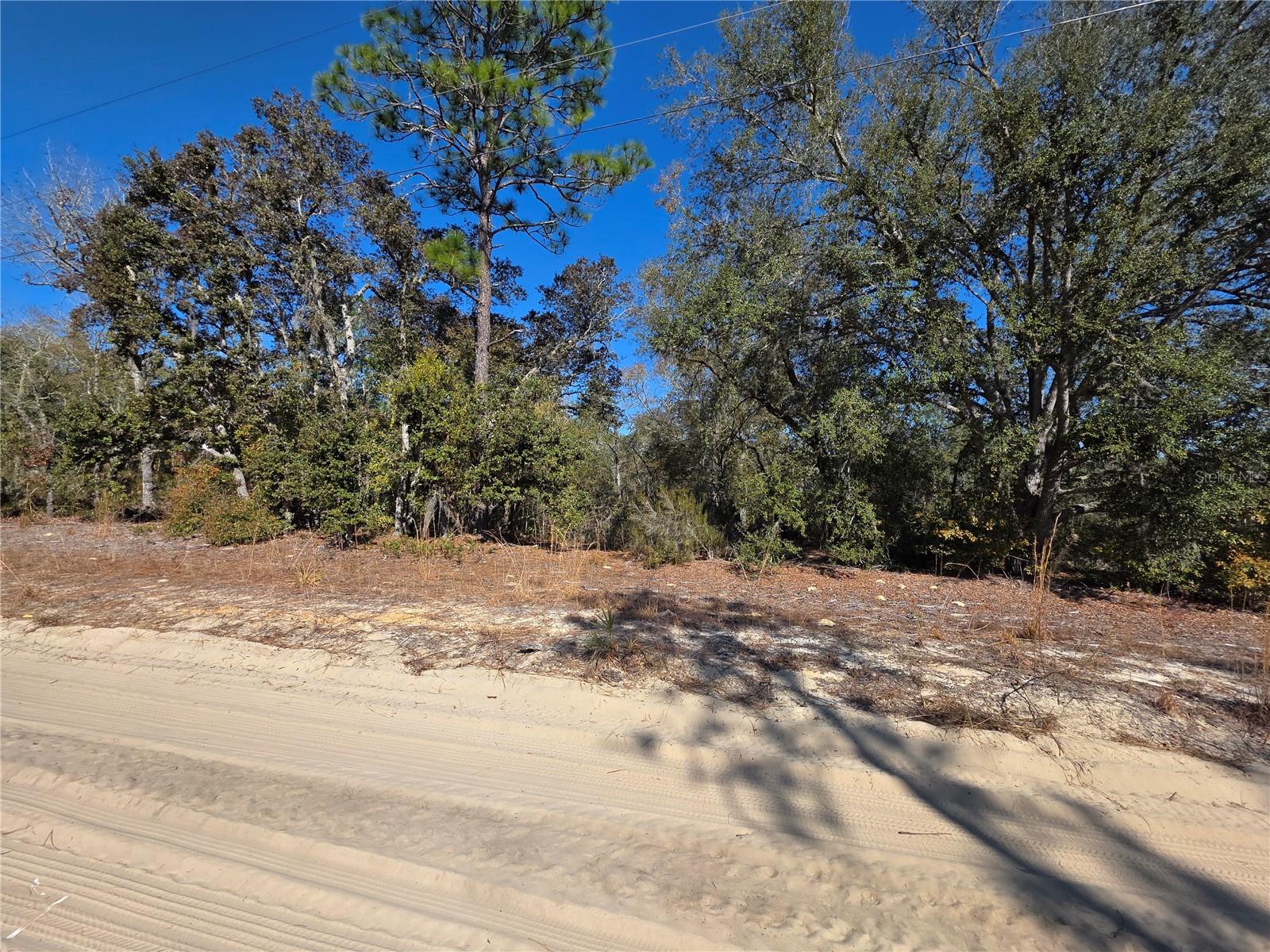 Image 8 of 10 For Tbd 87th Place