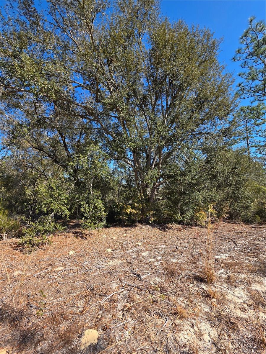 Image 9 of 10 For Tbd 87th Place