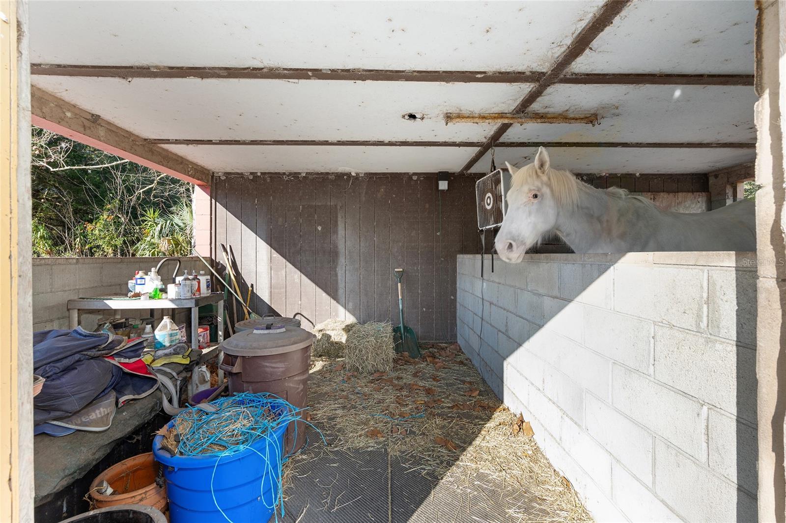 Image 36 of 62 For 825 165th Street