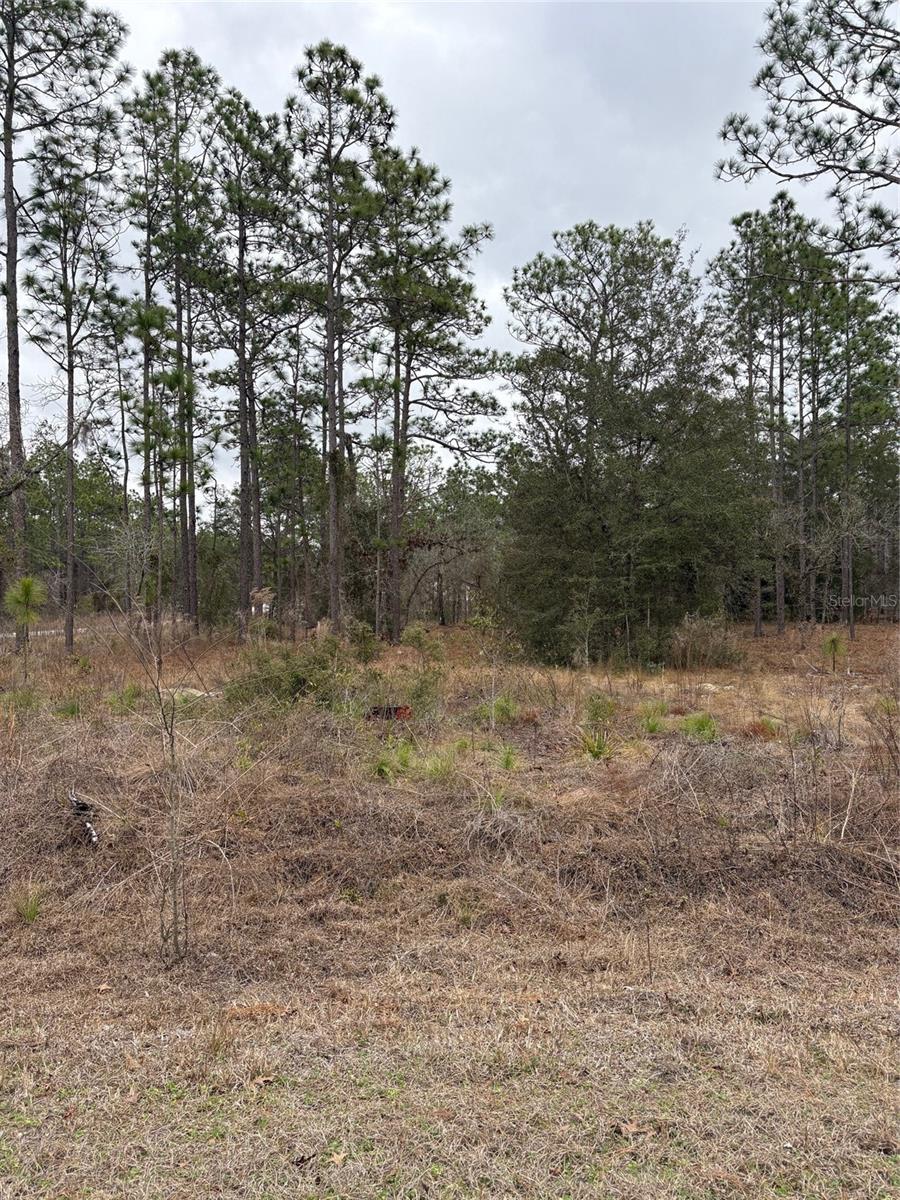 Details for 1159 Redwood Drive, DUNNELLON, FL 34431