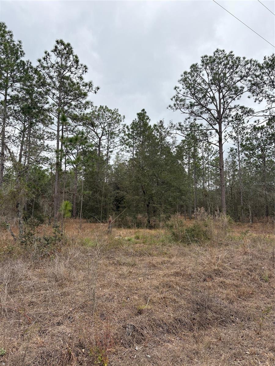 Image 3 of 3 For 1159 Redwood Drive