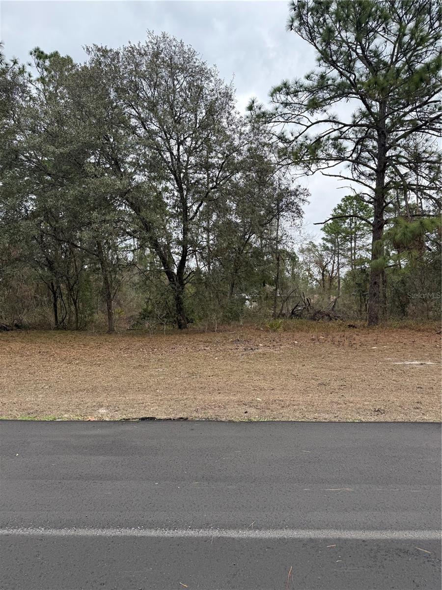 Details for Sw 135th Loop, OCALA, FL 34473