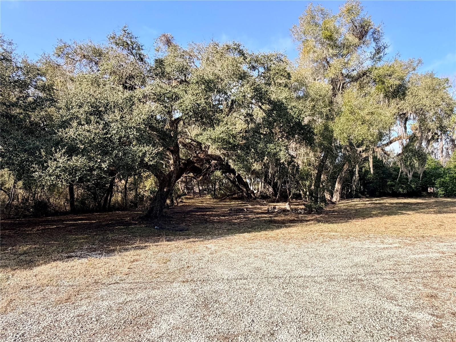 Details for 5666 Florida Avenue, FLORAL CITY, FL 34436