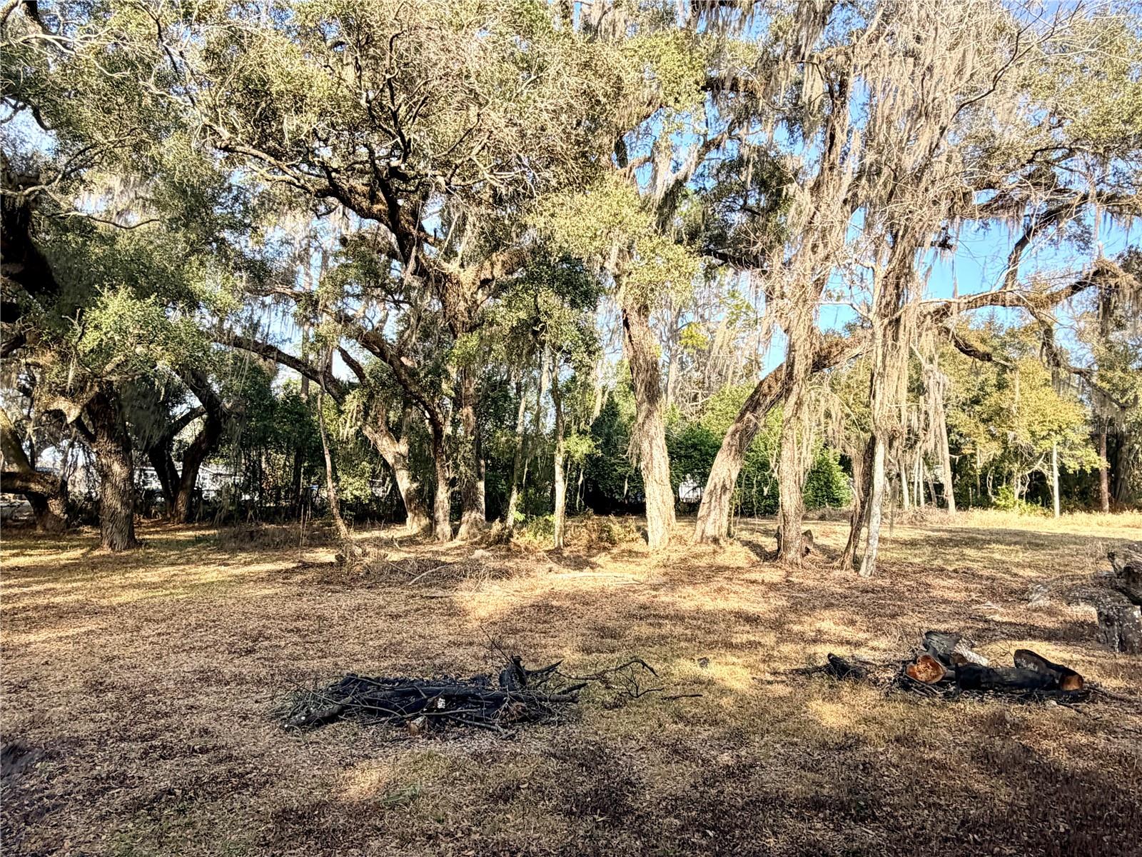 Image 3 of 16 For 5666 Florida Avenue