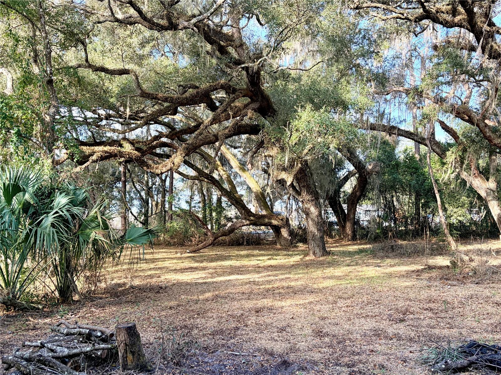 Image 4 of 16 For 5666 Florida Avenue