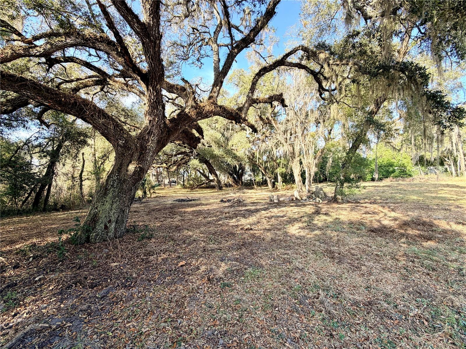 Image 6 of 16 For 5666 Florida Avenue