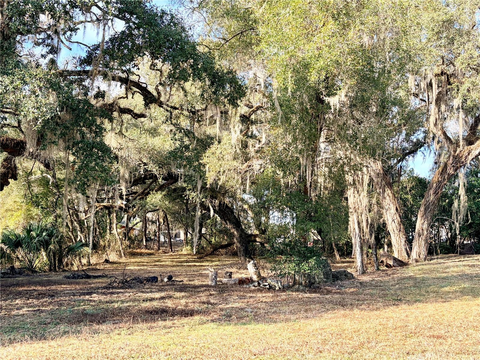 Image 8 of 16 For 5666 Florida Avenue