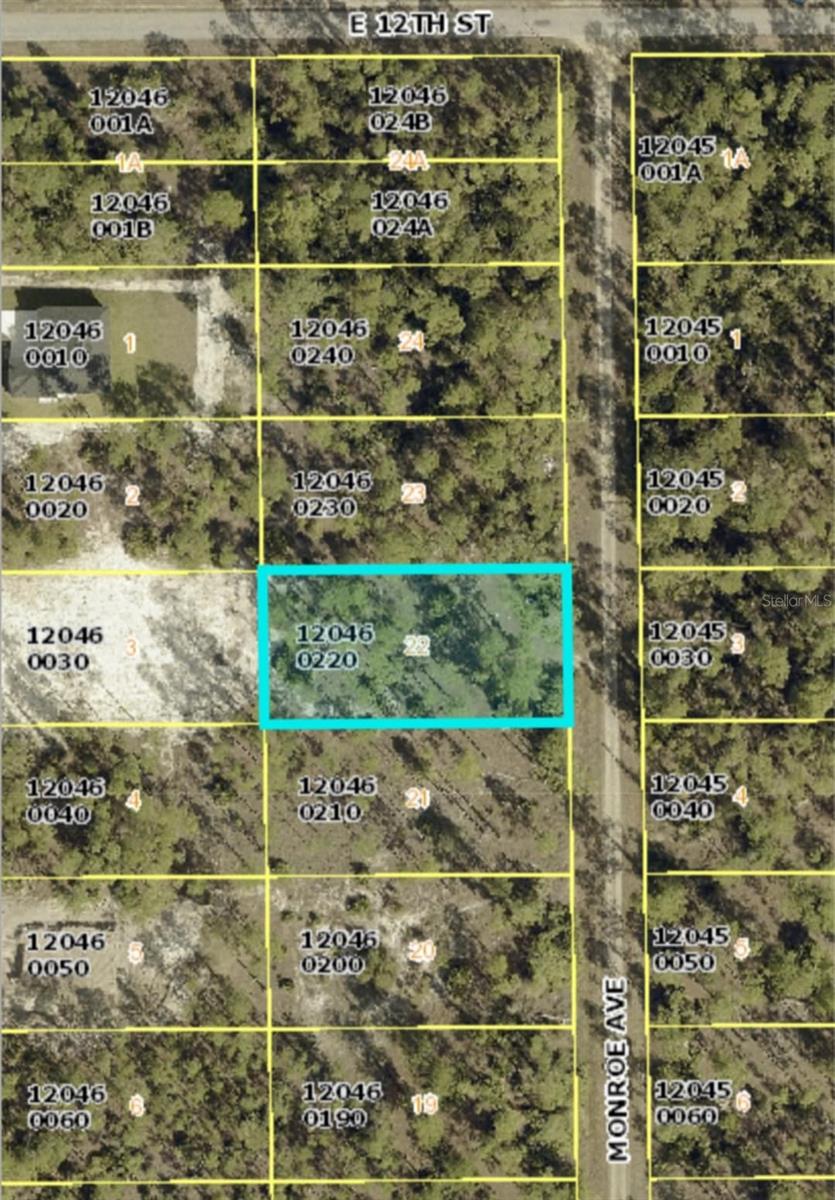 Details for 1119 Monroe Avenue, LEHIGH ACRES, FL 33972