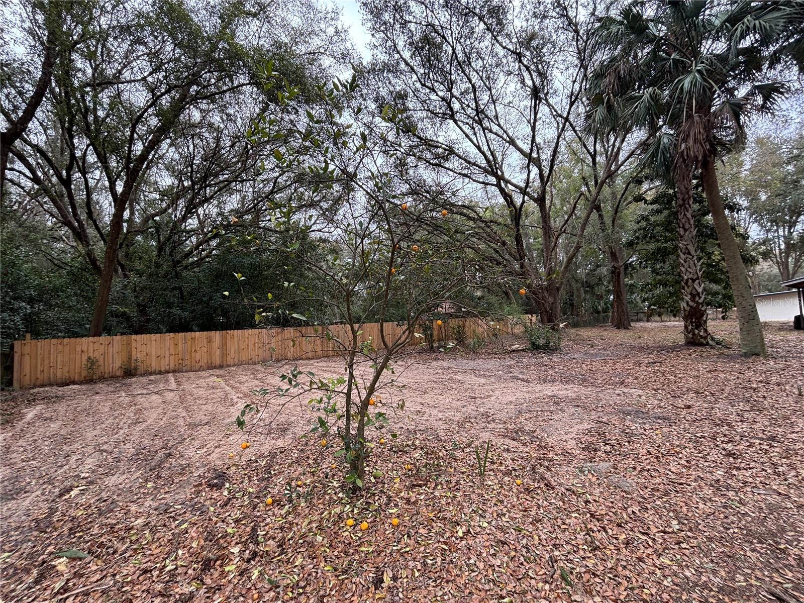 Image 15 of 48 For 13329 38th Avenue