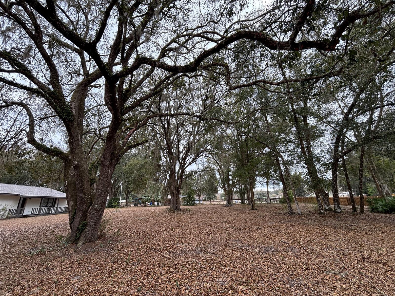 Image 4 of 48 For 13329 38th Avenue