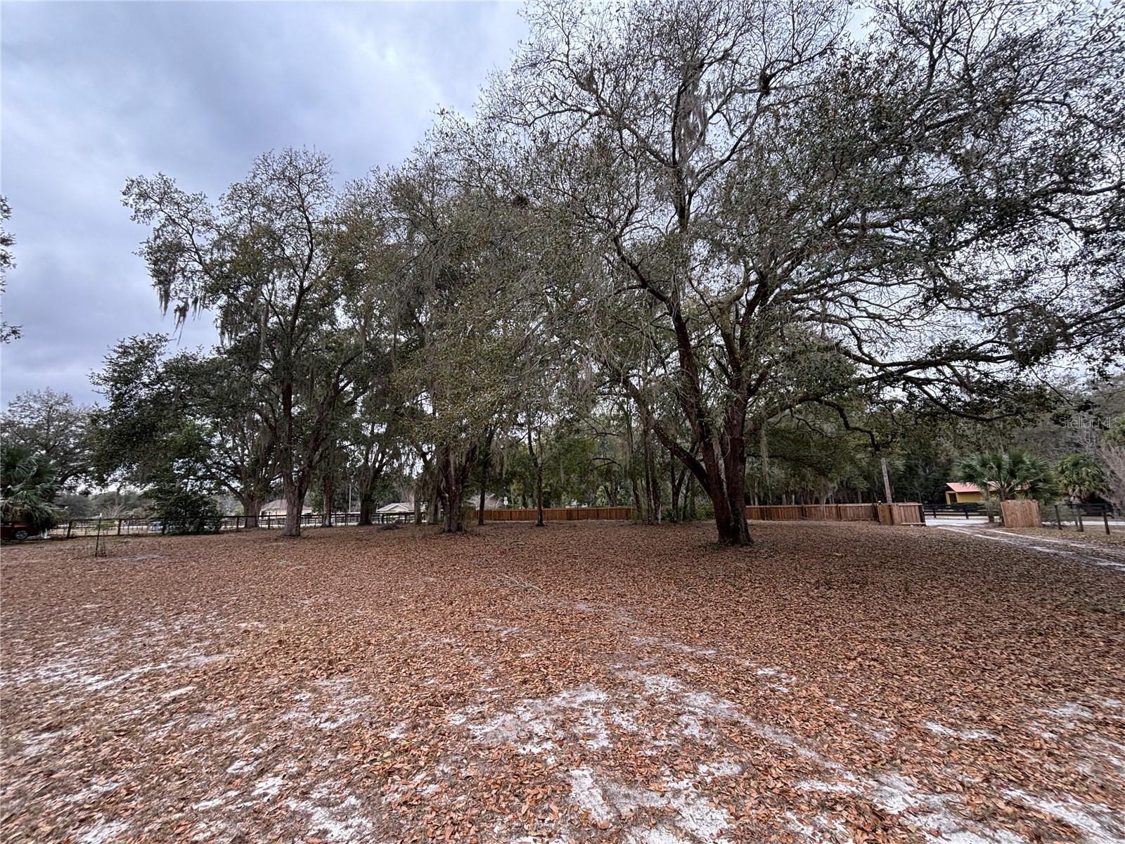 Image 5 of 48 For 13329 38th Avenue