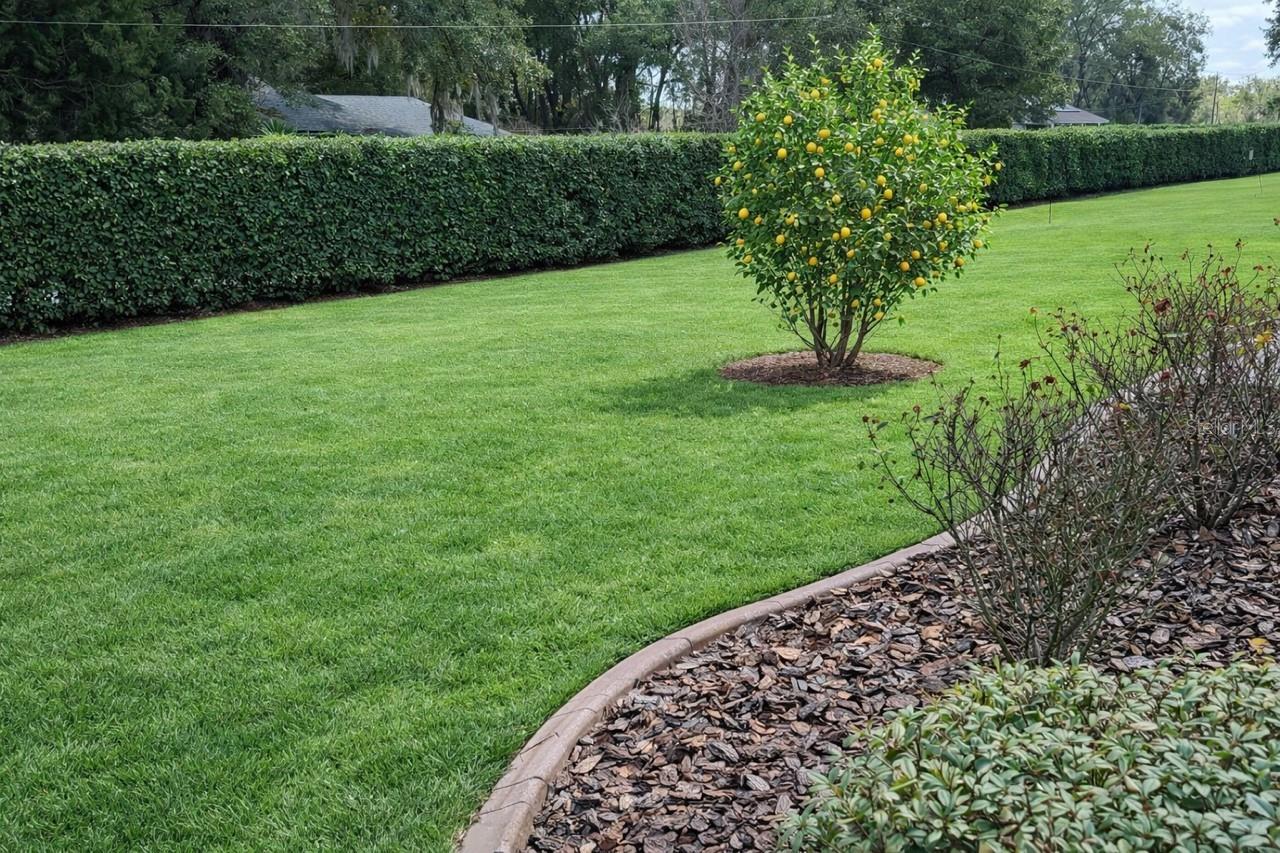 Image 36 of 43 For 7777 80th Place Road