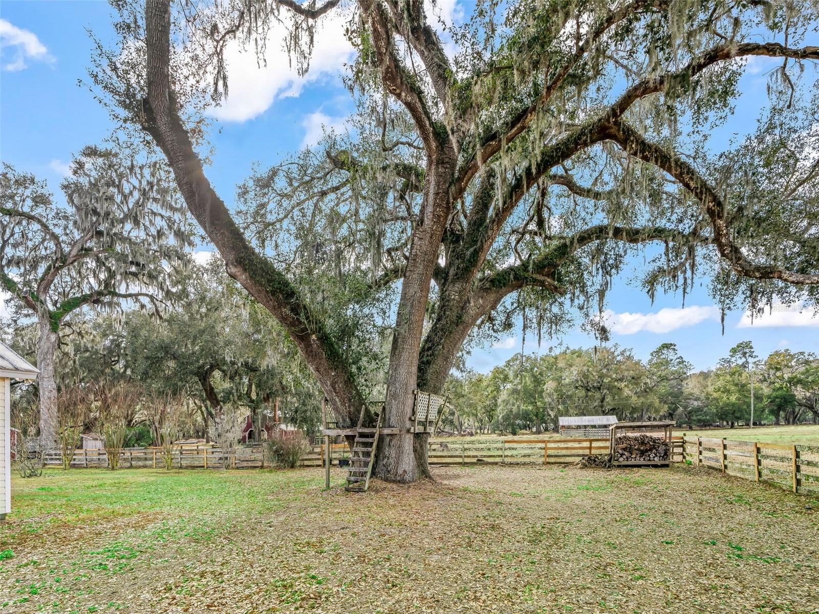 Image 25 of 43 For 4430 Cr 542h