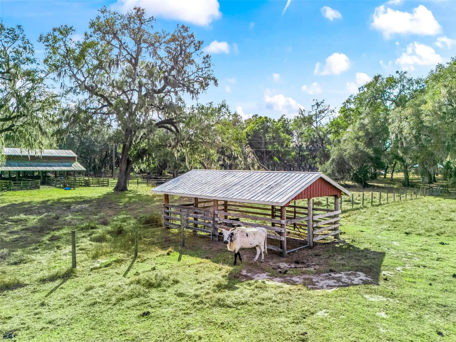 Image 36 of 43 For 4430 Cr 542h