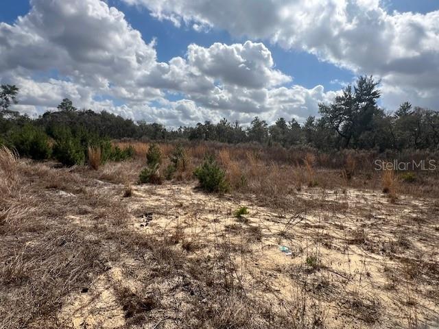 Image 4 of 4 For 351 Marion Oaks Boulevard