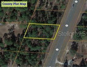 Details for Se State Road 121 Lot 4, MORRISTON, FL 32668