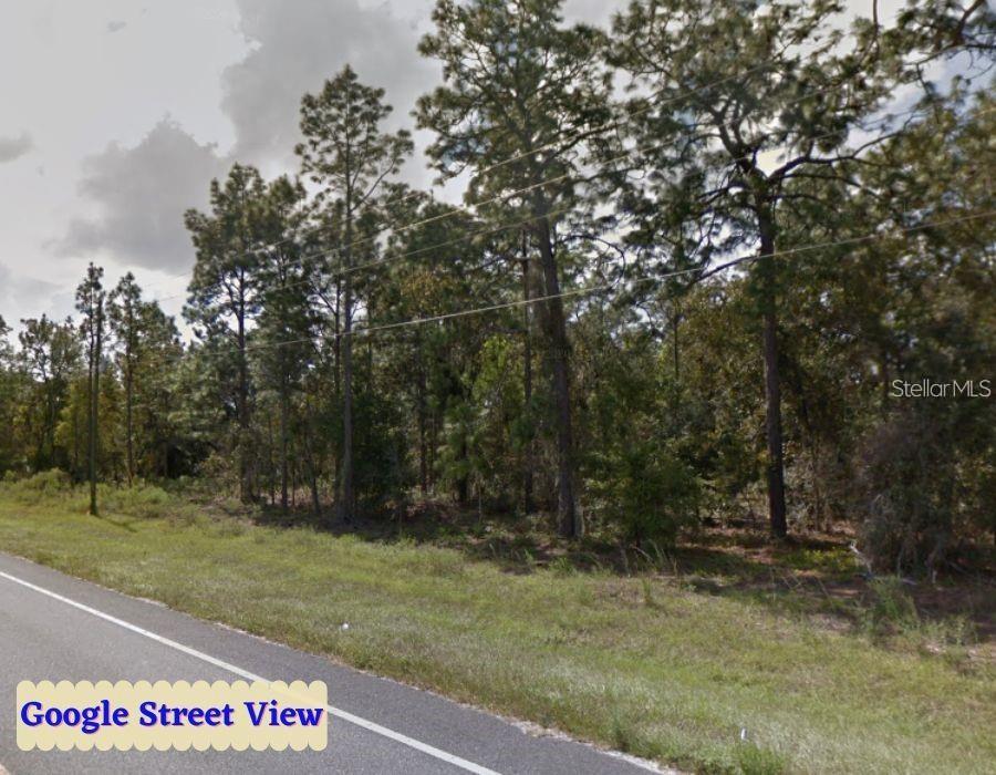 Image 12 of 12 For Se State Road 121 Lot 4