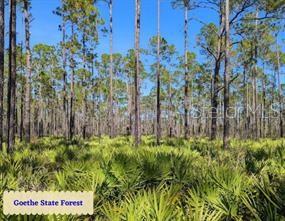 Image 8 of 12 For Se State Road 121 Lot 4
