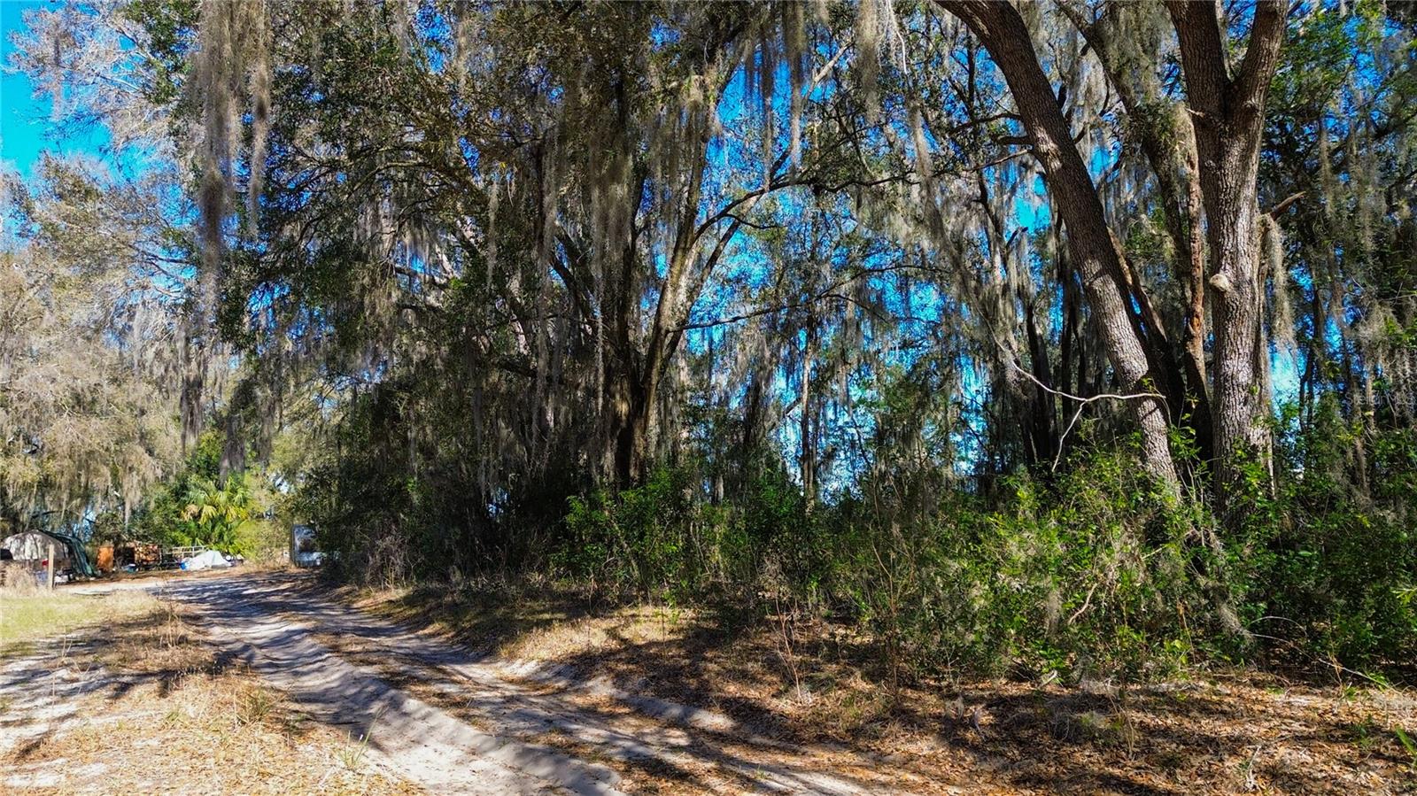 Details for 39725 Clay Avenue N, LADY LAKE, FL 32159