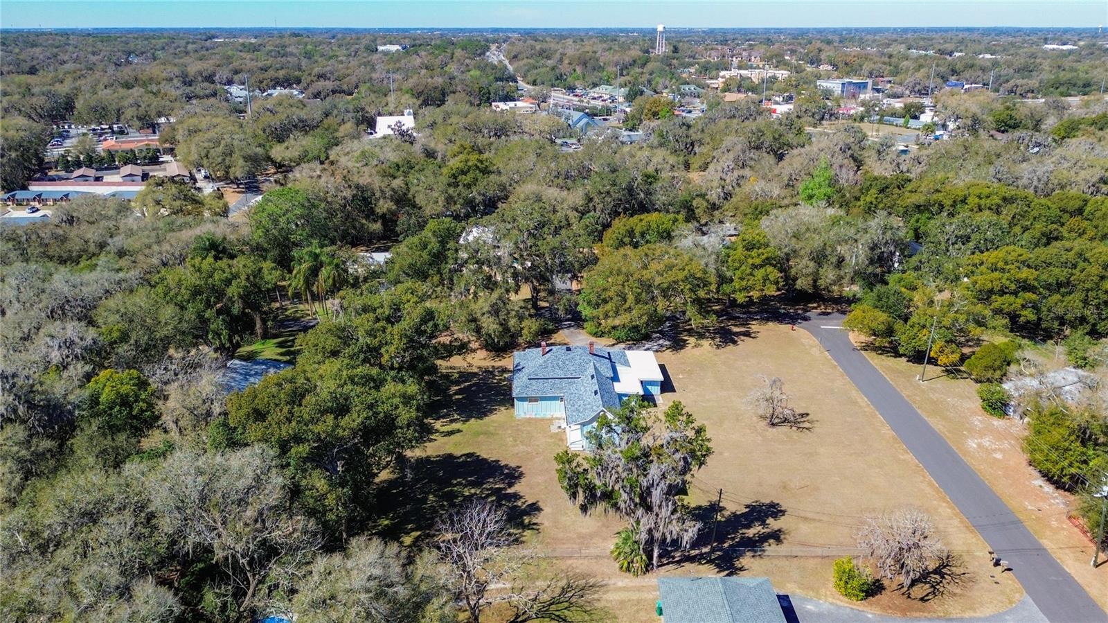 Image 49 of 56 For 113 Rosemary Avenue