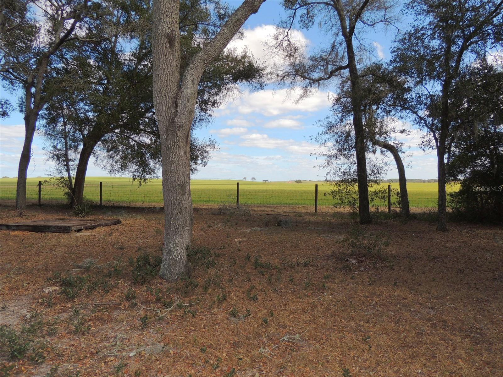 Image 17 of 34 For 4551 138th Terrace