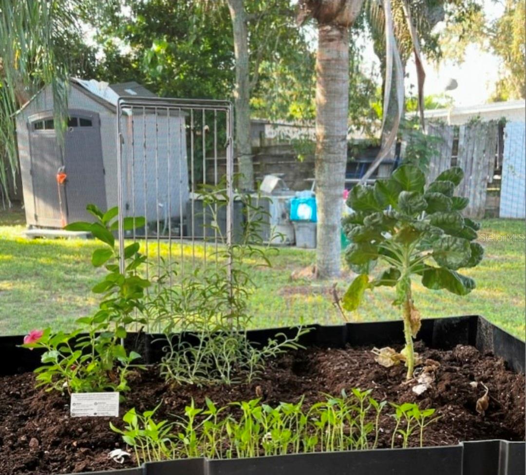 Image 2 of 2 For 1405 Jackson