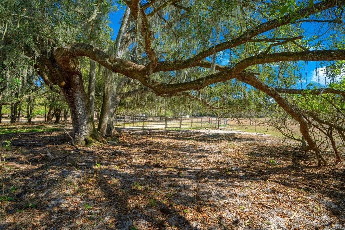 Image 67 of 88 For 5824 185th Avenue