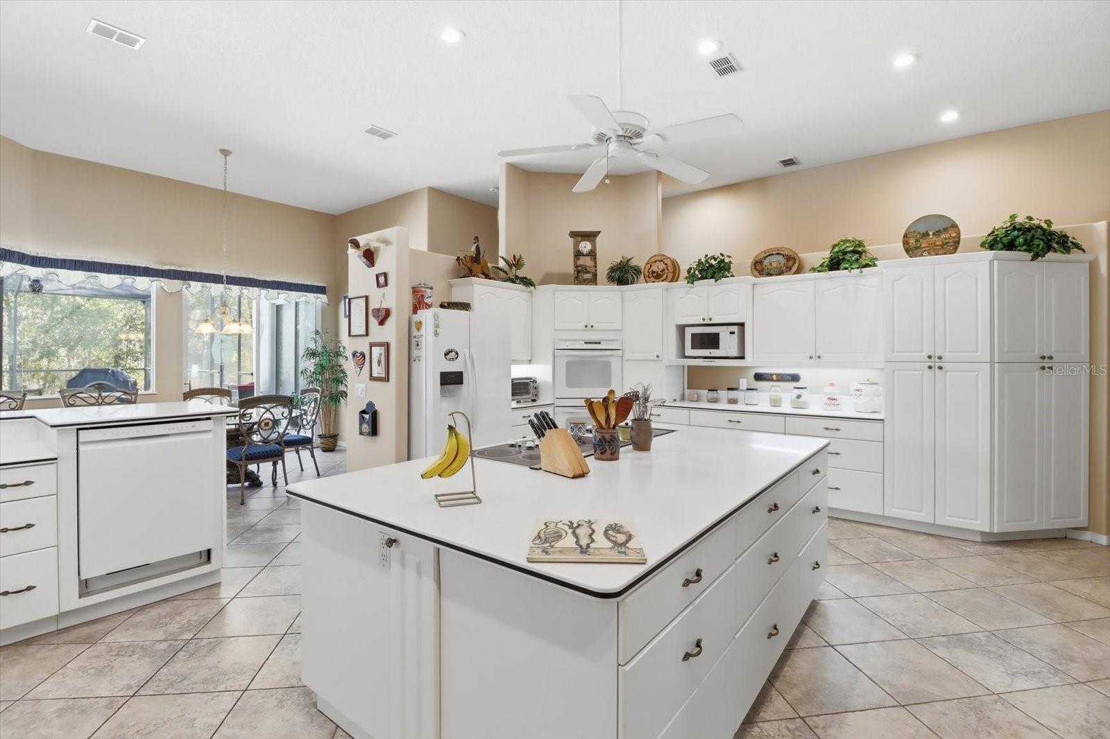 Image 4 of 47 For 16 Drypetes Court E