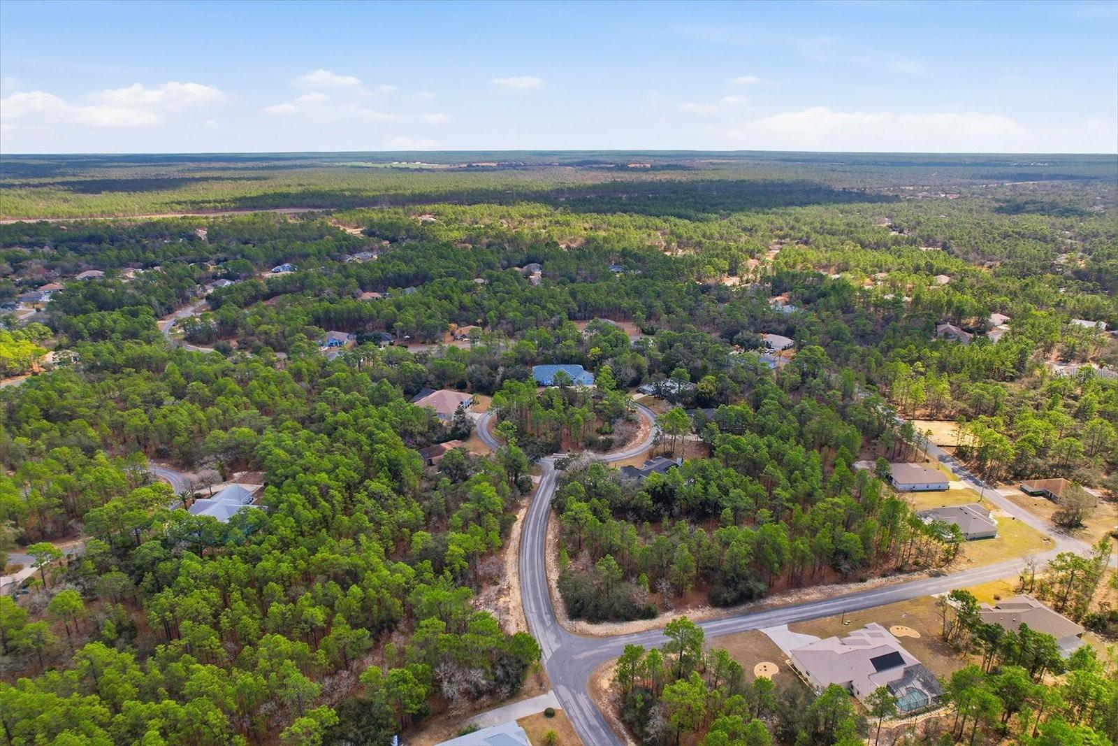 Image 45 of 47 For 16 Drypetes Court E