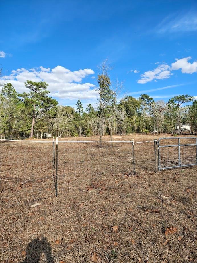 Details for 13105 91st Place, DUNNELLON, FL 34432