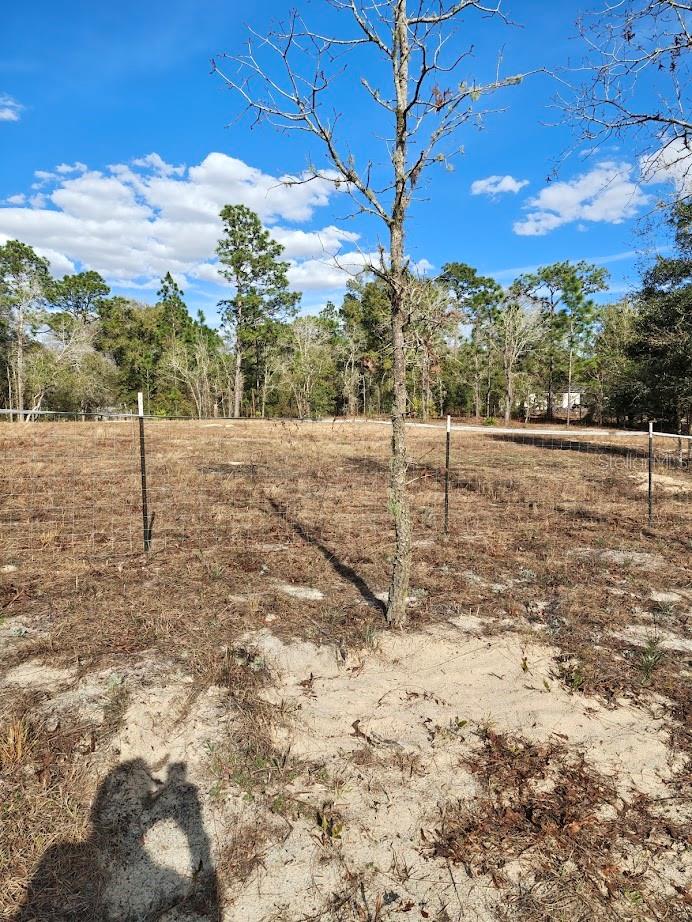 Image 2 of 13 For 13105 91st Place