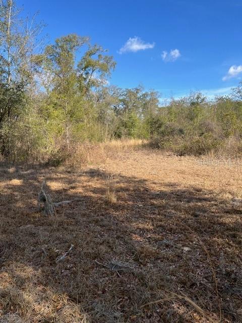 Image 2 of 7 For 7th Street