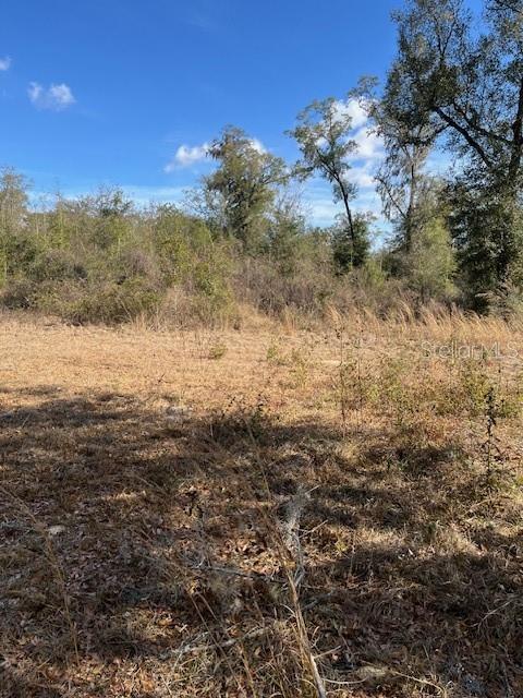 Image 3 of 7 For 7th Street