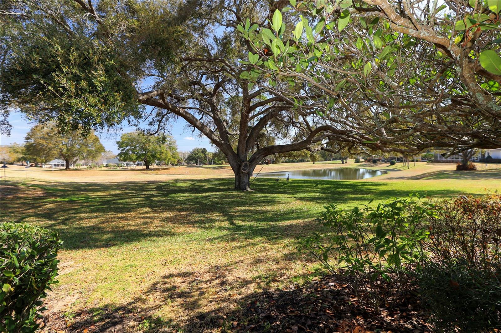 Image 43 of 56 For 39644 Harbor Hills Boulevard