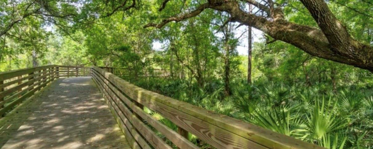 Image 33 of 37 For 9735 Petition Way