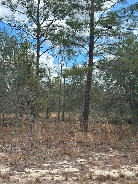 Image 2 of 2 For Address Not Provided