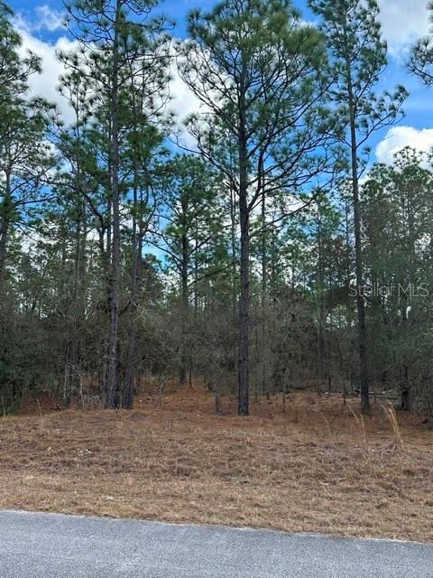 Image 6 of 6 For Address Not Provided