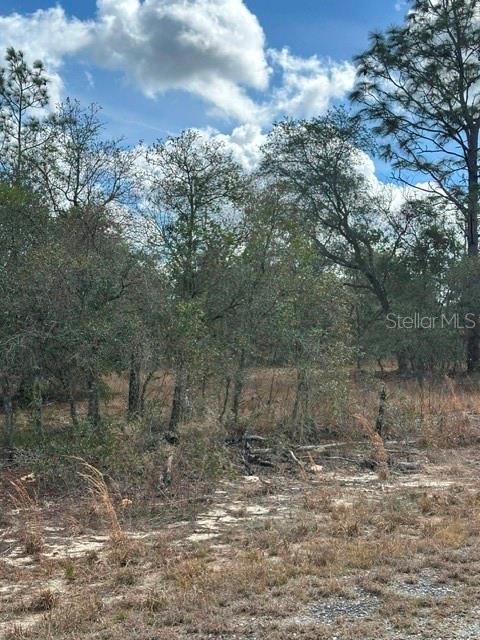 Image 7 of 8 For Address Not Provided