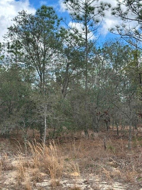 Image 8 of 8 For Address Not Provided