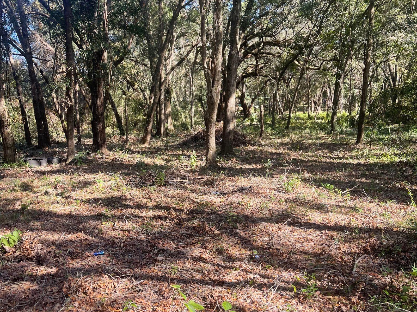 Image 2 of 2 For 0 130 Street