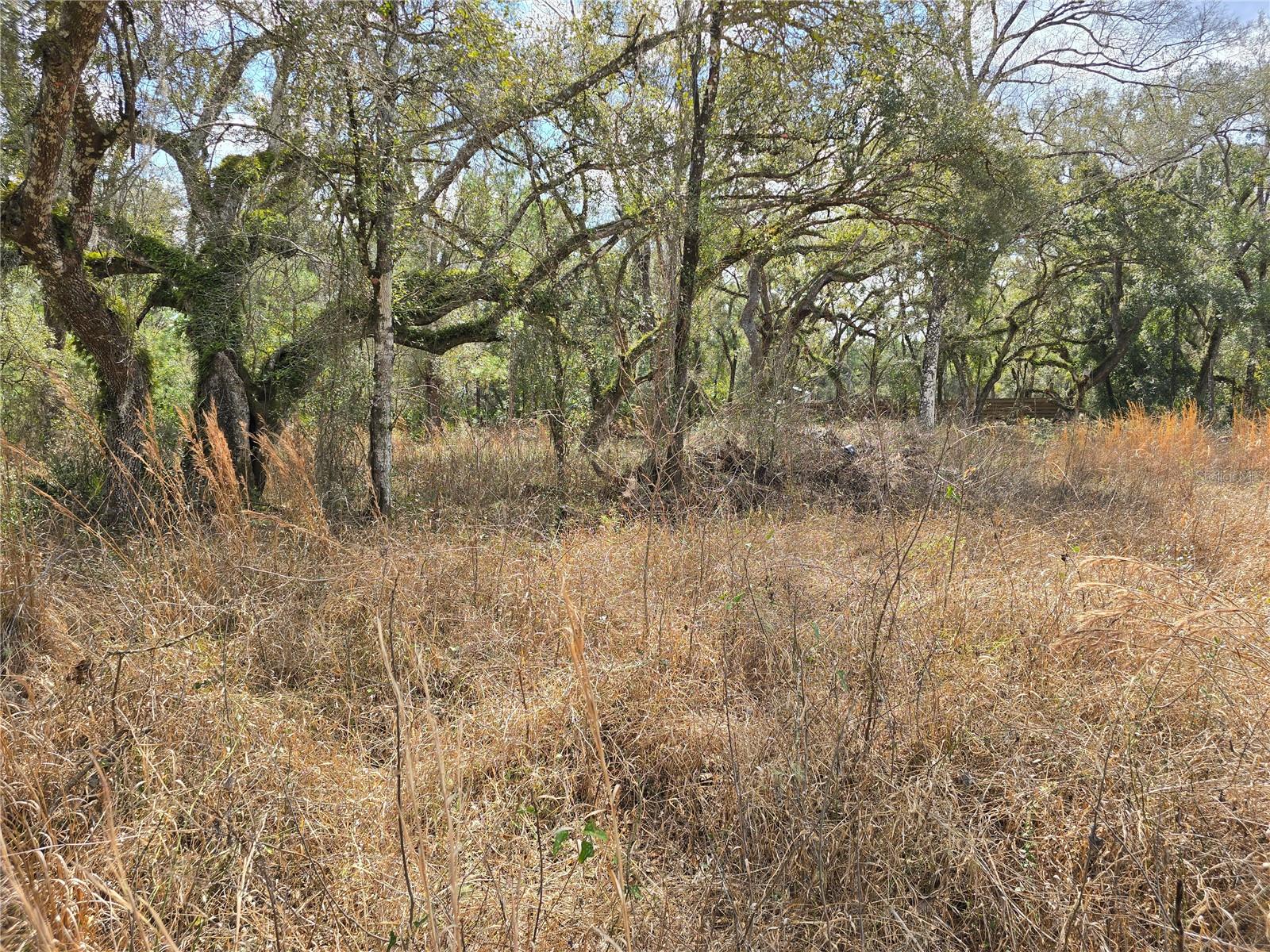 Details for 6436 Yam Street, WEBSTER, FL 33597