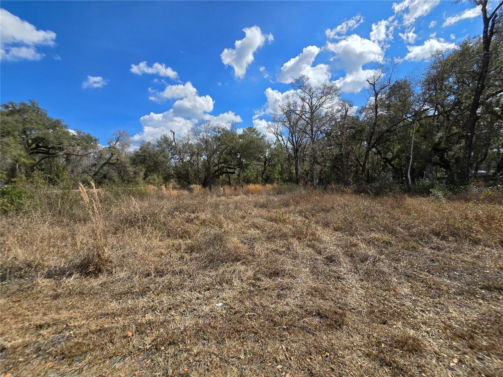 Image 10 of 14 For 6436 Yam Street